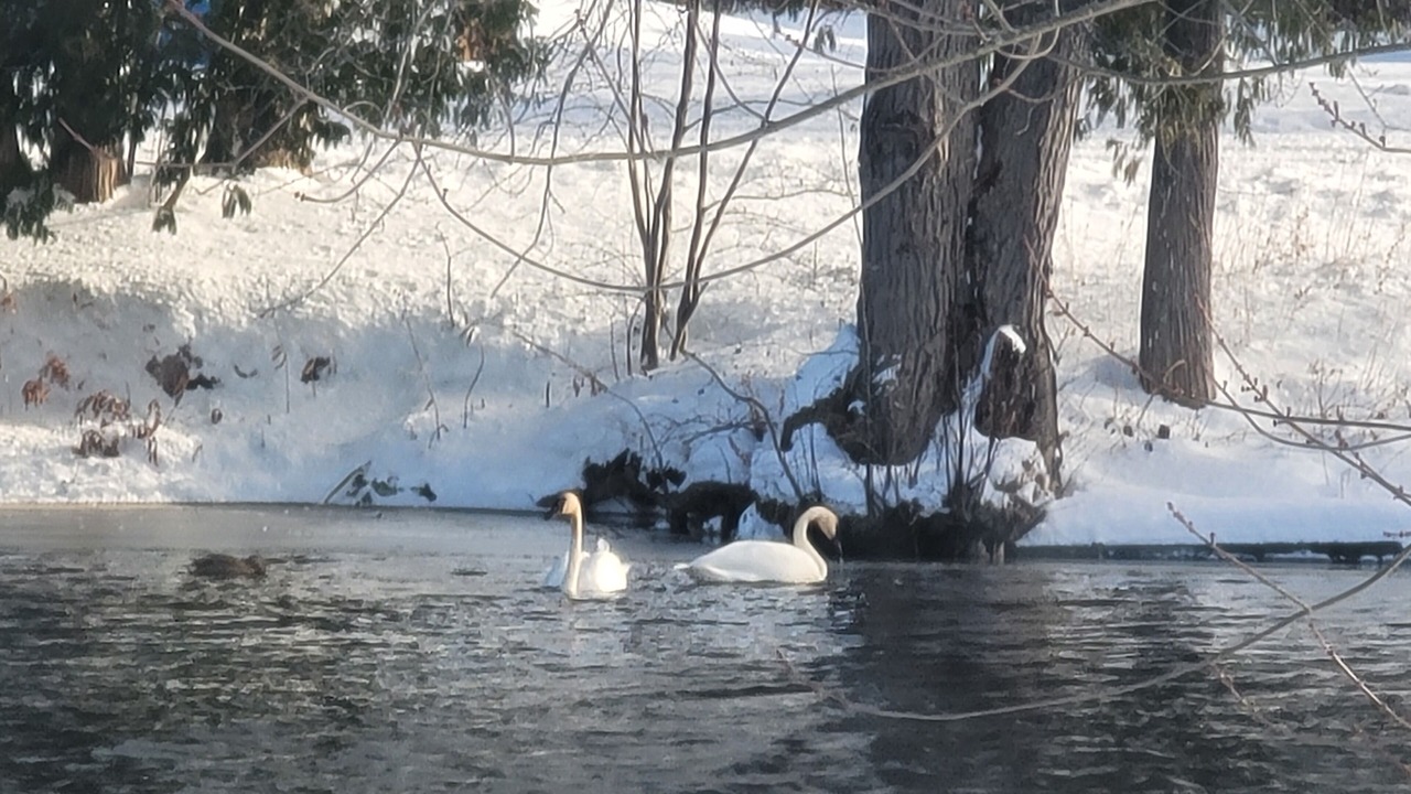 Photo of Outdoor in Port Stanton