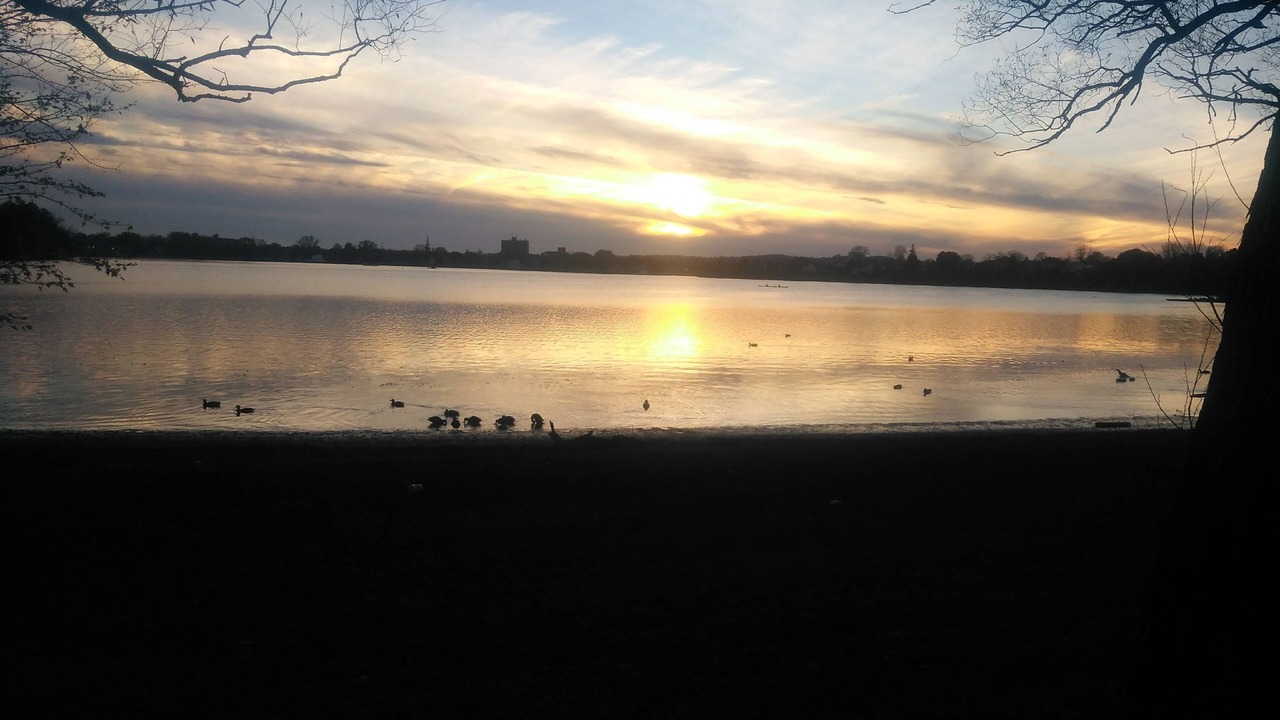 Photo of Others in Peterborough