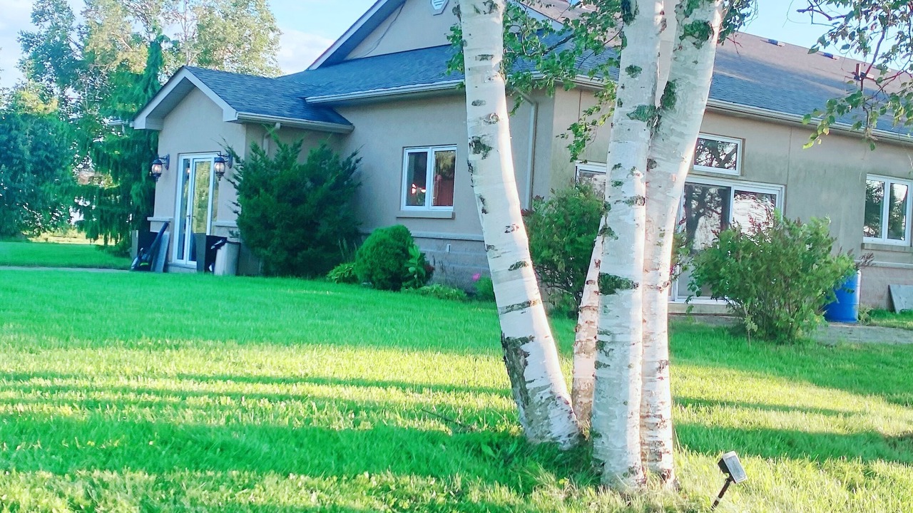 Photo of Outdoor in King