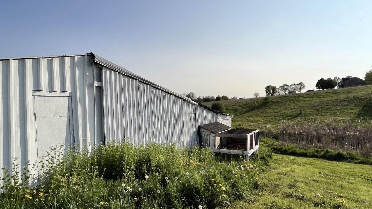 Photo of Outdoor in Bradford West Gwillimbury