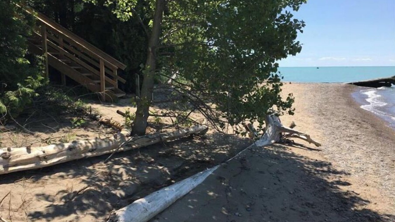 Photo of Others in Bayfield