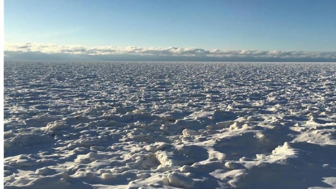 Photo of Others in Bayfield