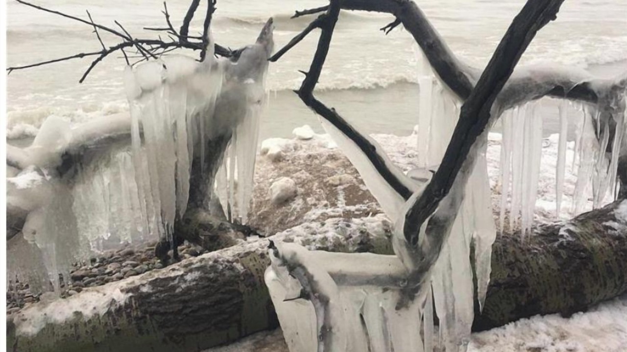 Photo of Others in Bayfield