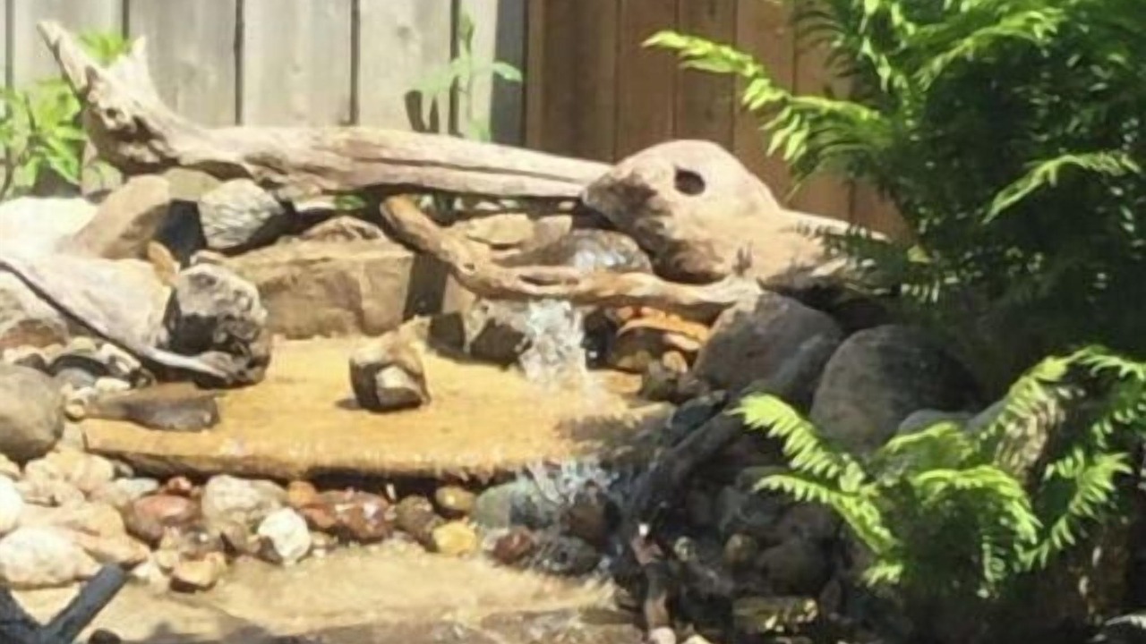 Photo of Outdoor in Crystal Beach