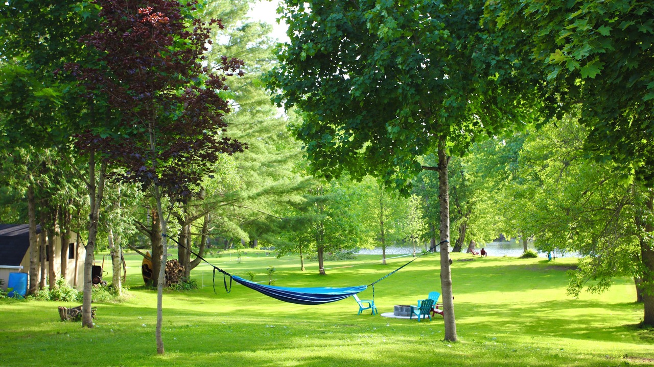 Photo of Others in Marmora