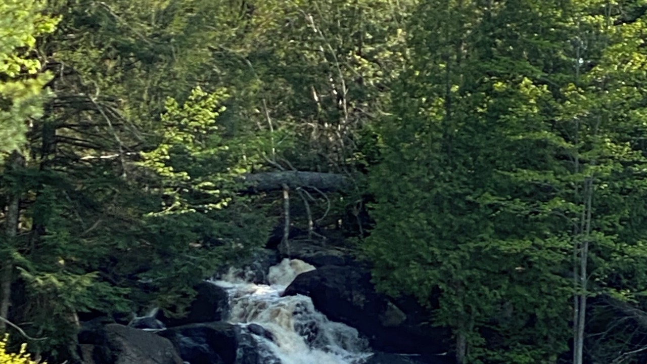 Photo of Others in Weslemkoon