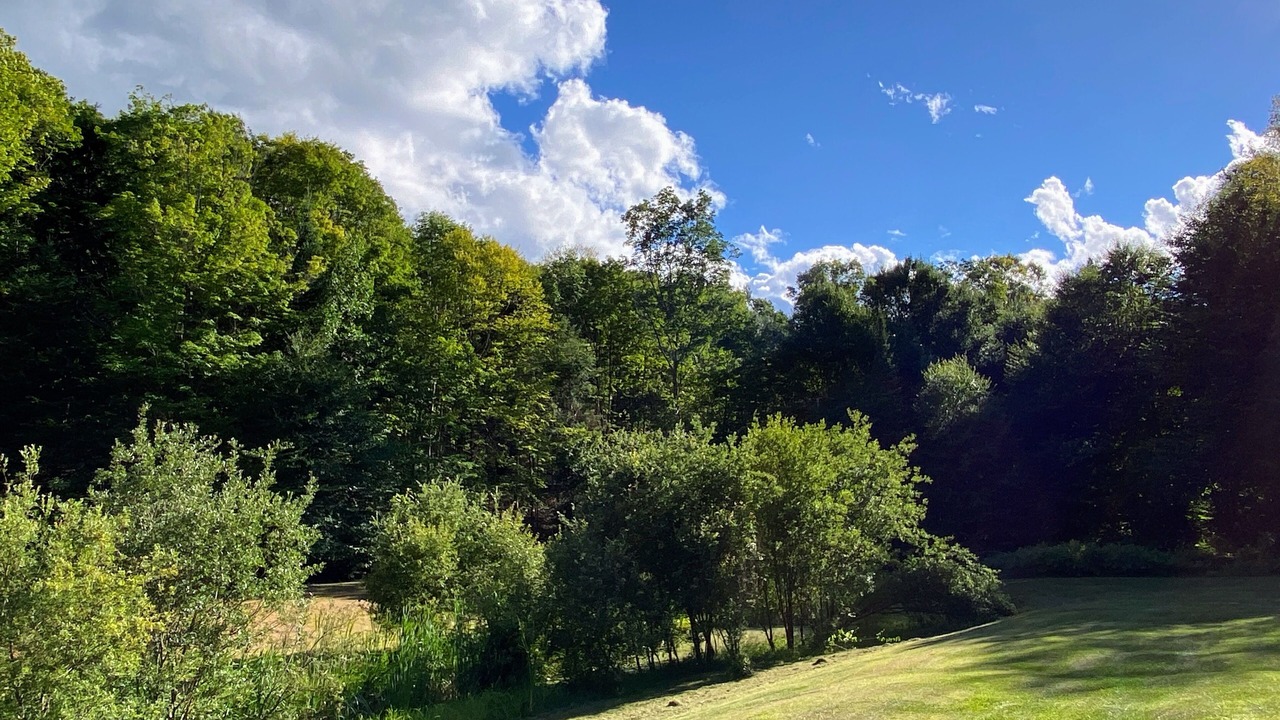 Photo of Outdoor in Weslemkoon