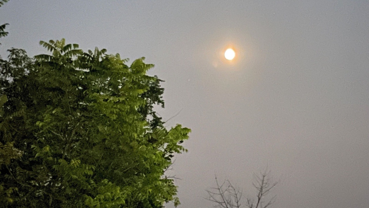 Photo of Others in Carden