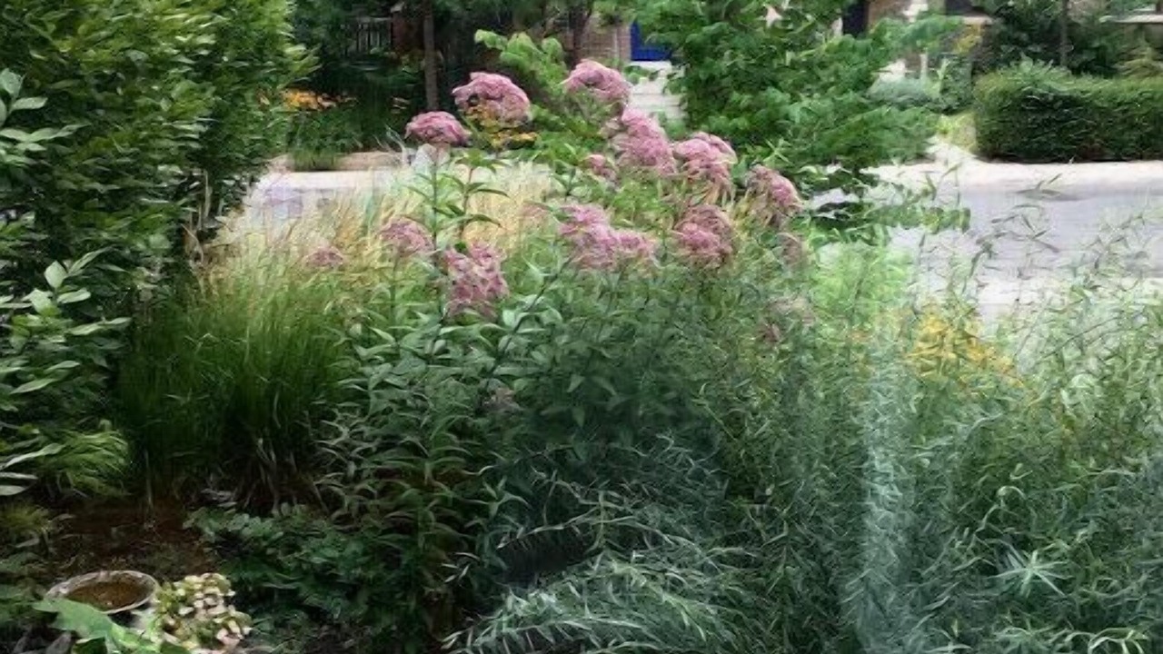 Photo of Outdoor in Roncesvalles Village