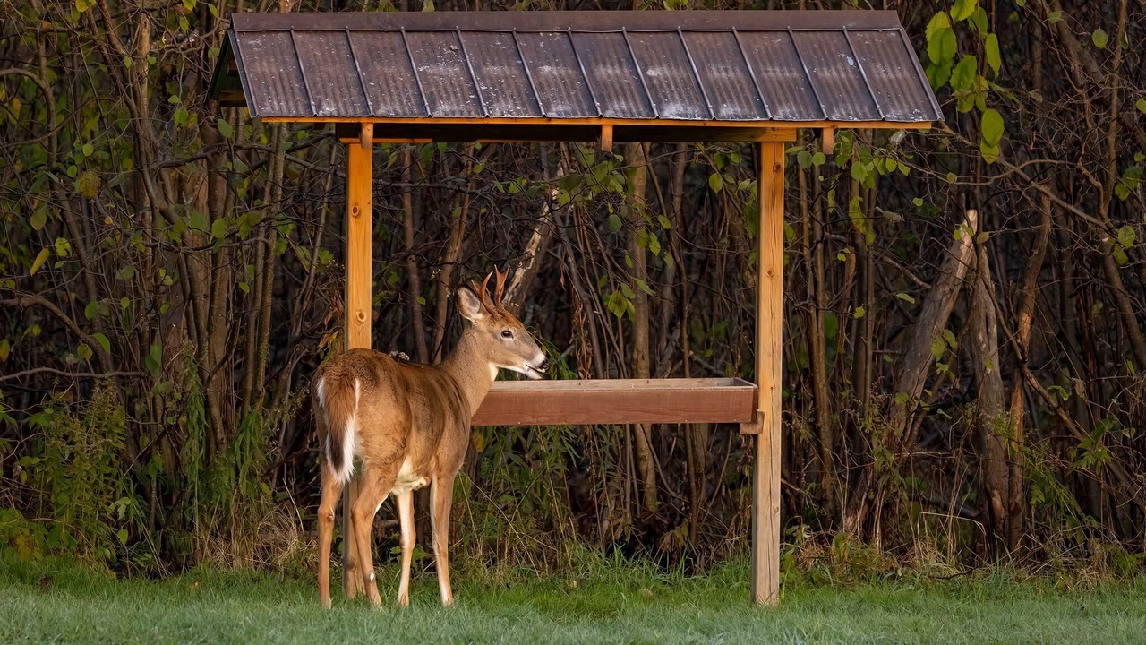 Photo of Outdoor in Haliburton