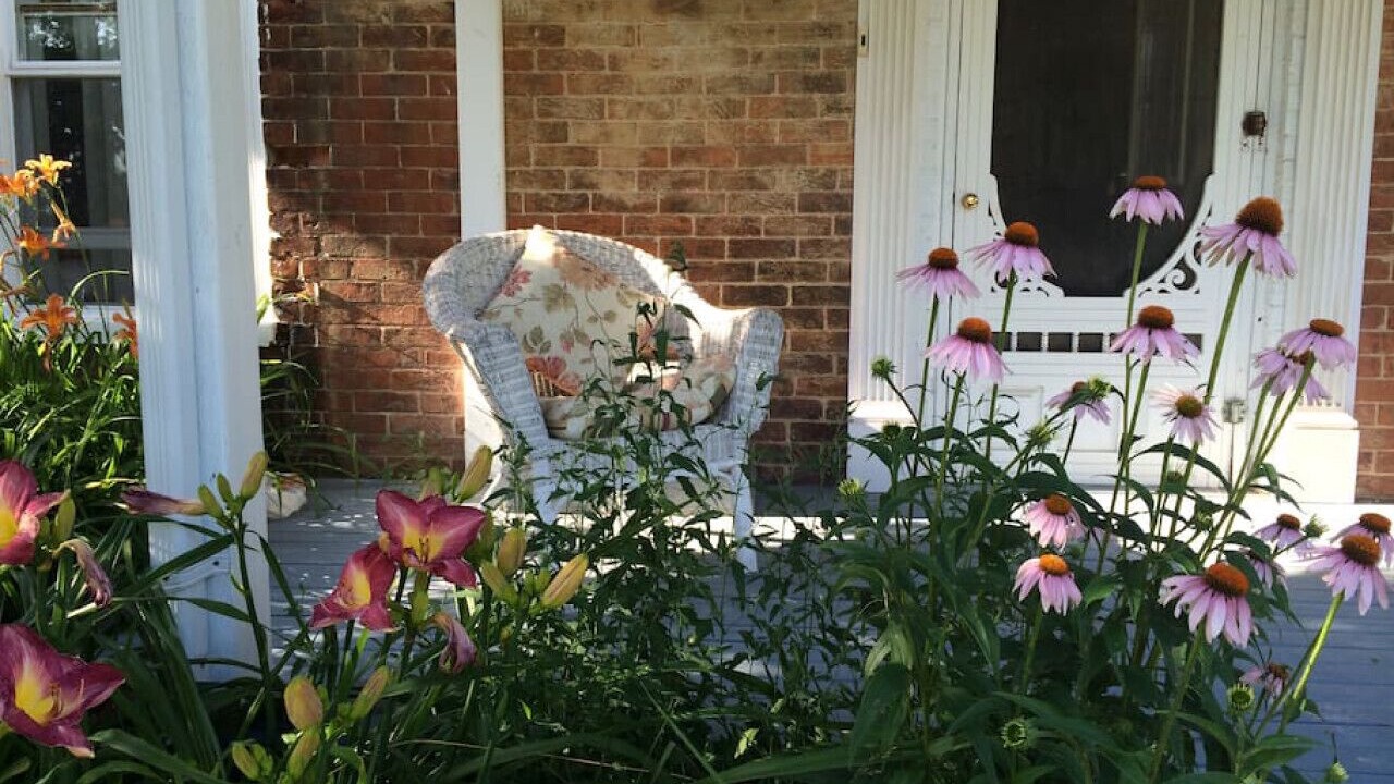 Photo of Patio Balcony in Wellington