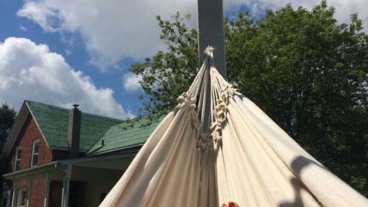 Photo of Outdoor in Wellington