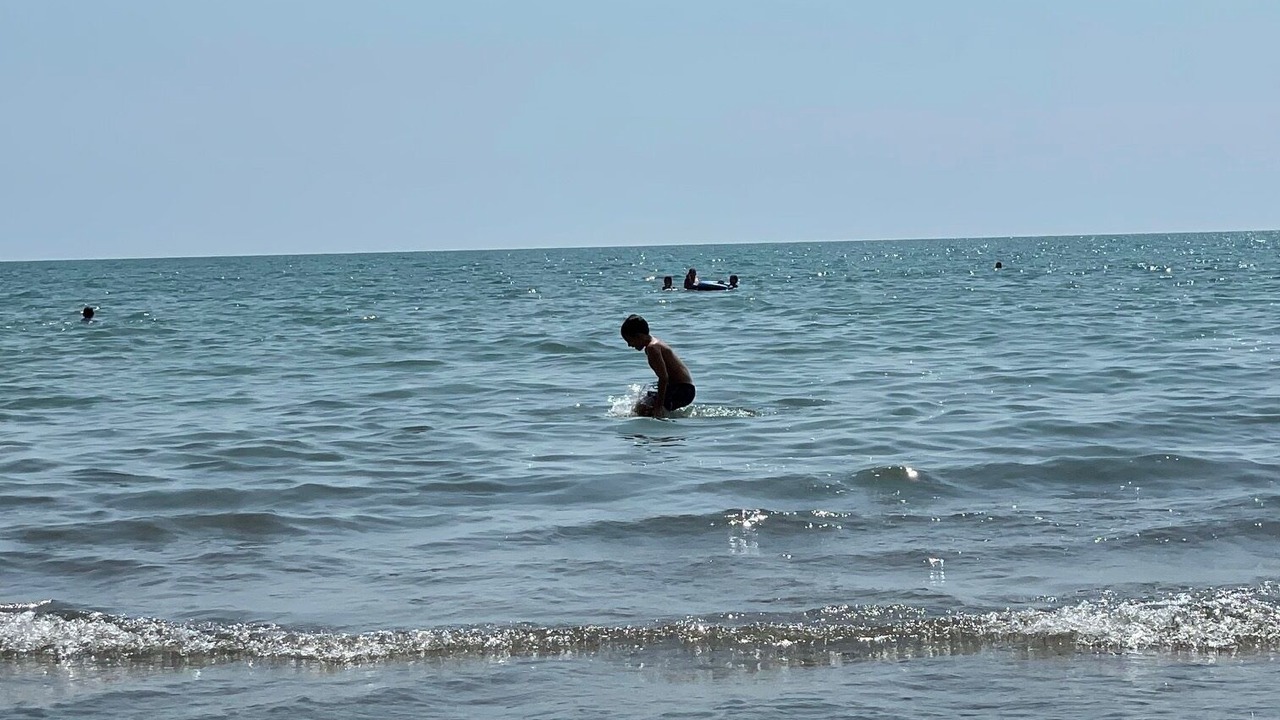 Photo of Others in Long Point