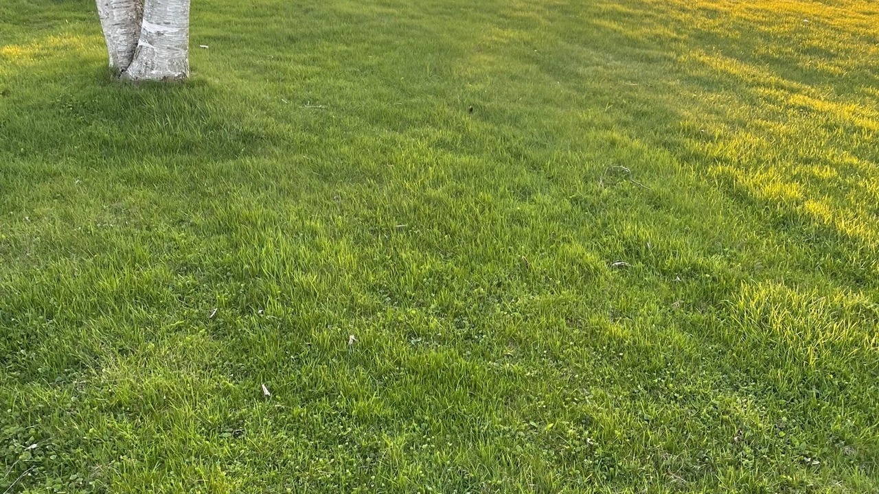 Photo of Outdoor in Long Point