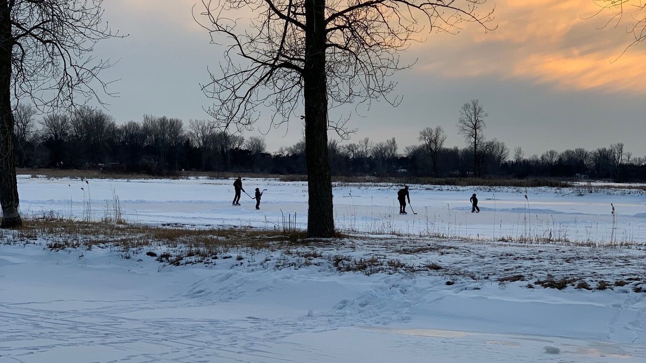 Photo of Others in Long Point