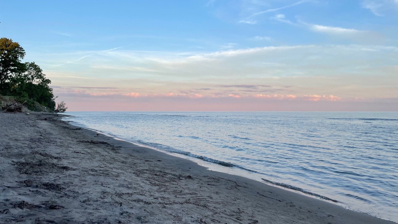 Photo of Others in Long Point