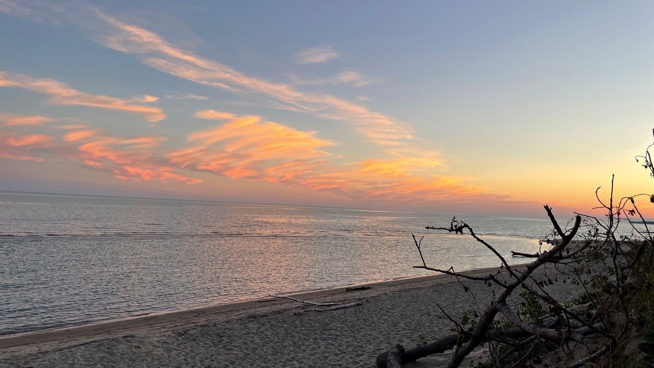 Photo of Others in Long Point