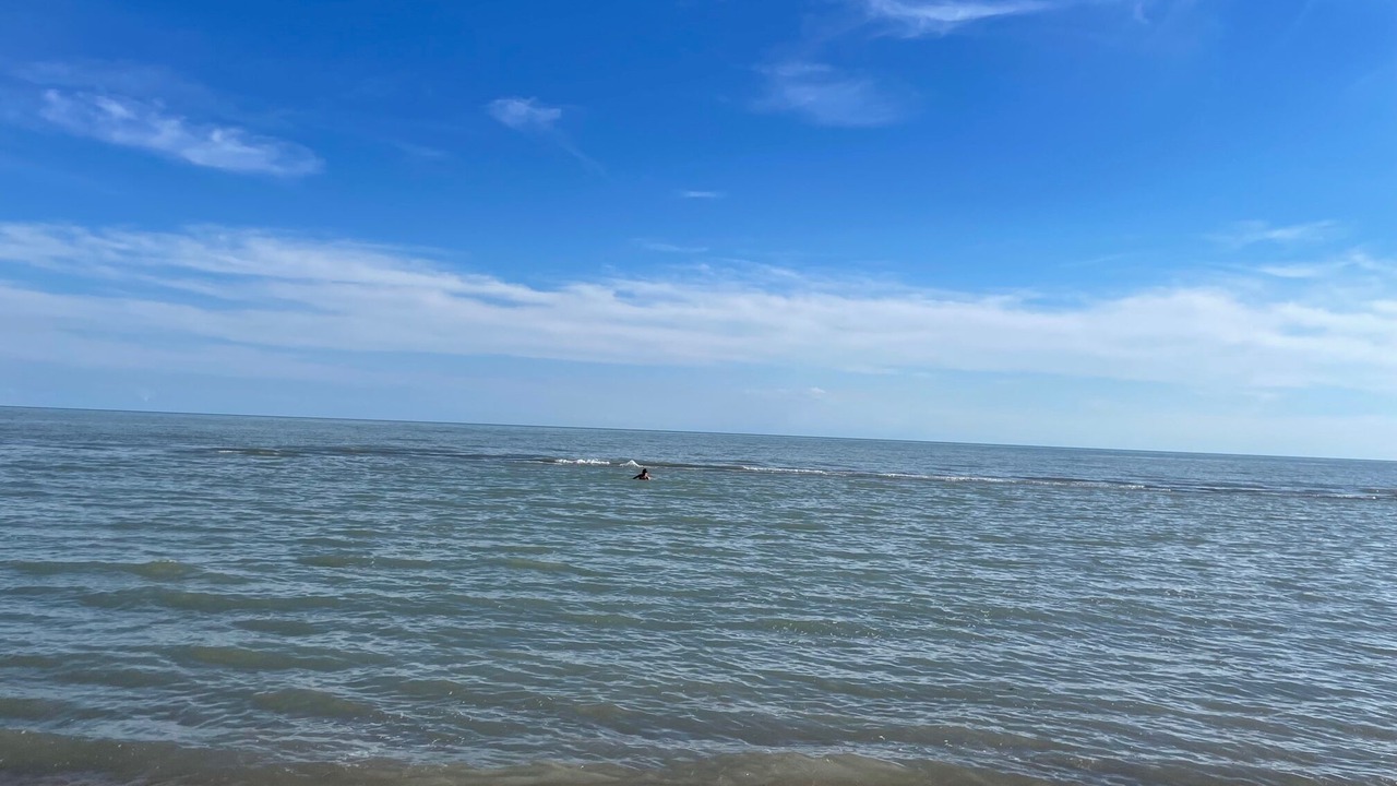 Photo of Others in Long Point