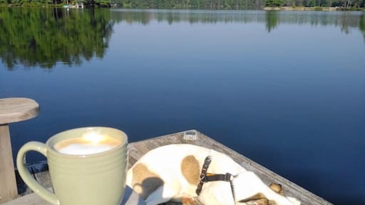 Photo of Others in North Kawartha