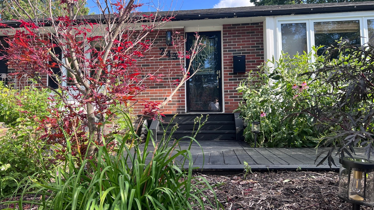 Photo of Outdoor in Selwyn
