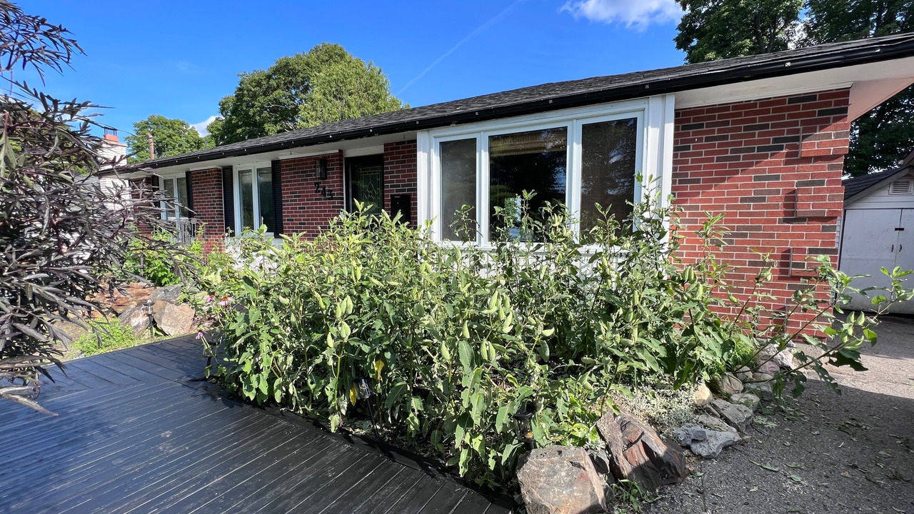 Photo of Outdoor in Selwyn