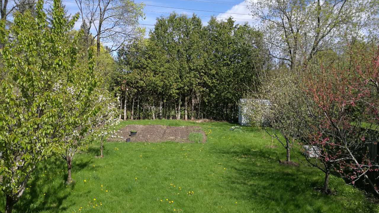 Photo of Outdoor in Bayview Woods - Steeles