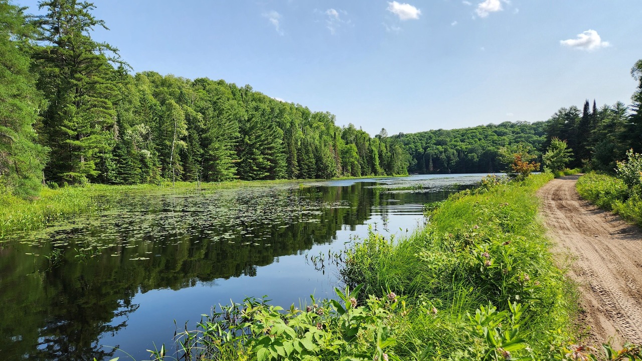 Photo of Outdoor in Clear Lake