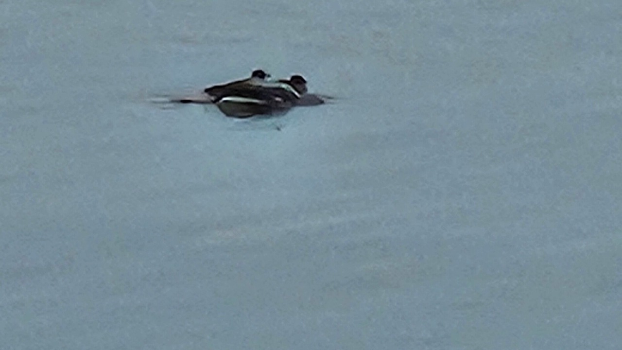 Photo of Others in Kenora