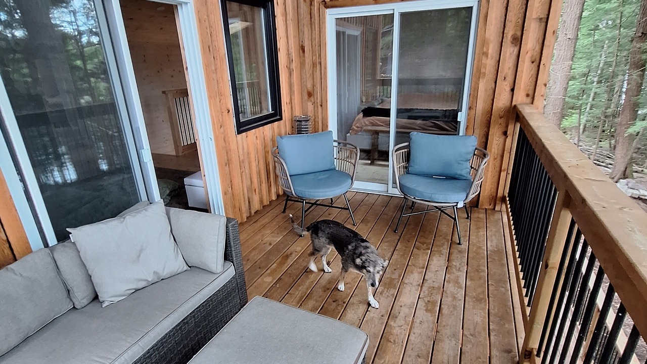 Photo of Patio Balcony in Wollaston