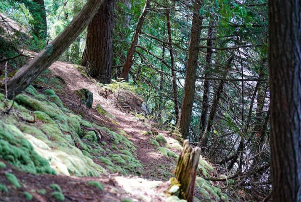 Photo of Outdoor in Highlands East