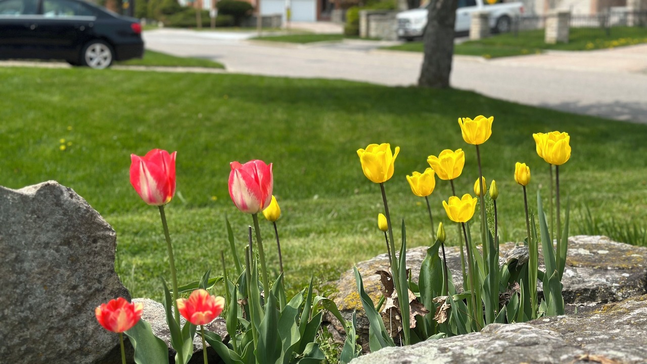 Photo of Outdoor in Markham