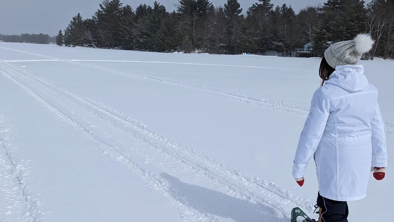 Photo of Others in Washago
