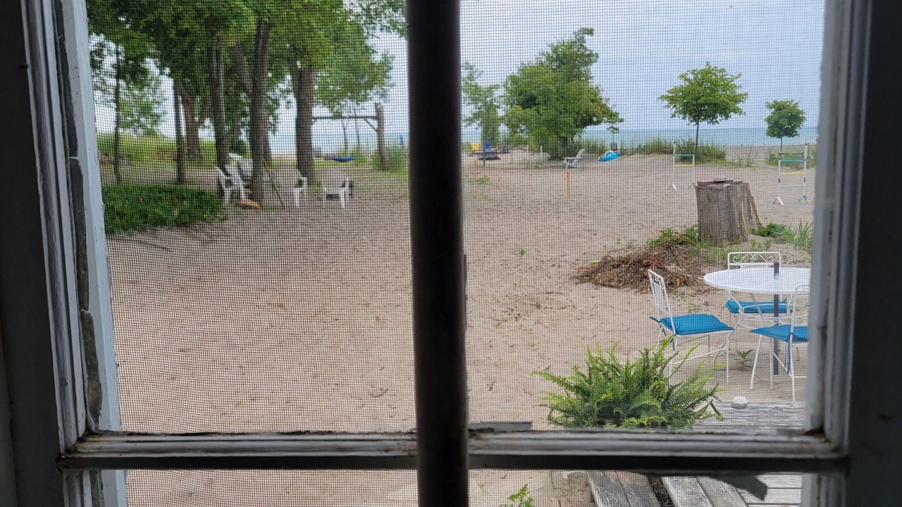 Photo of Others in Port Stanley