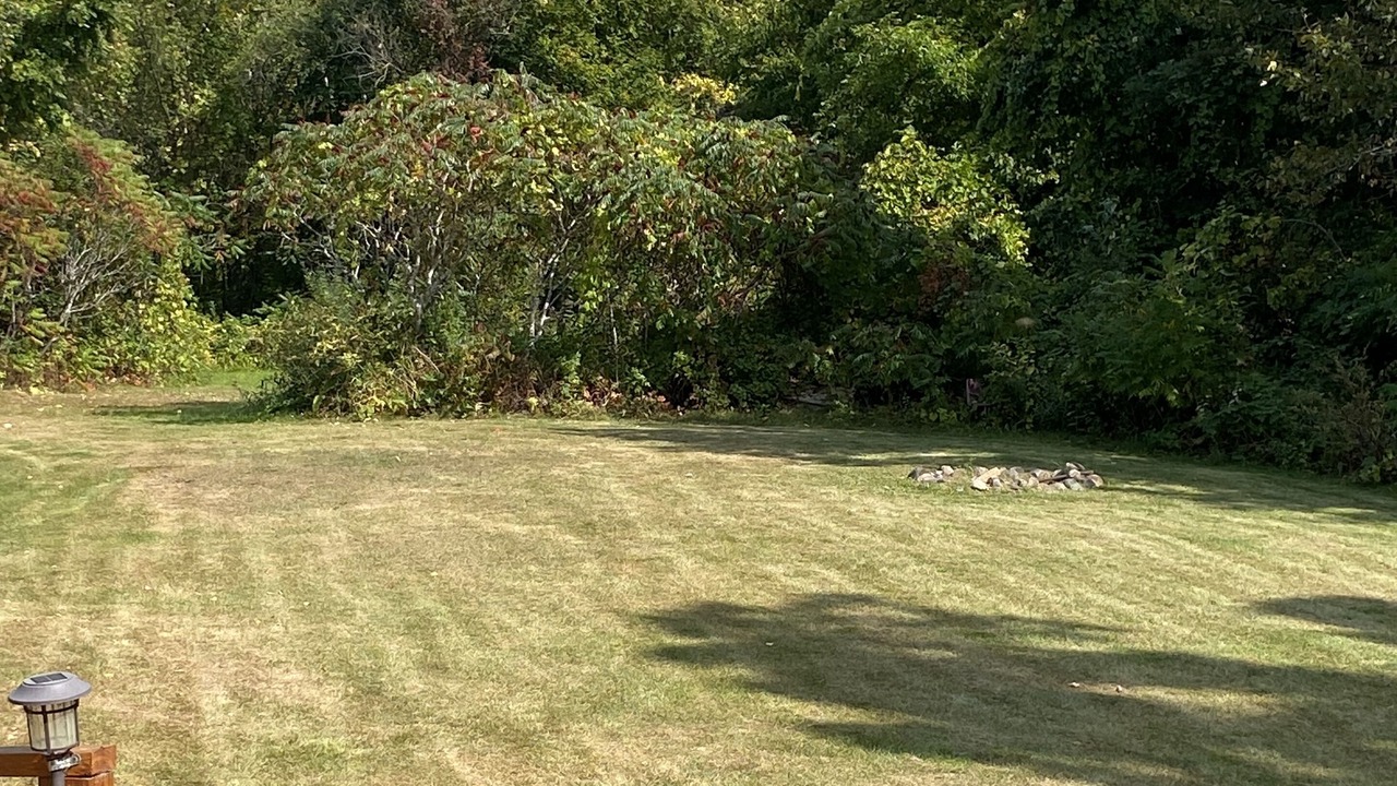 Photo of Outdoor in Cass Lake