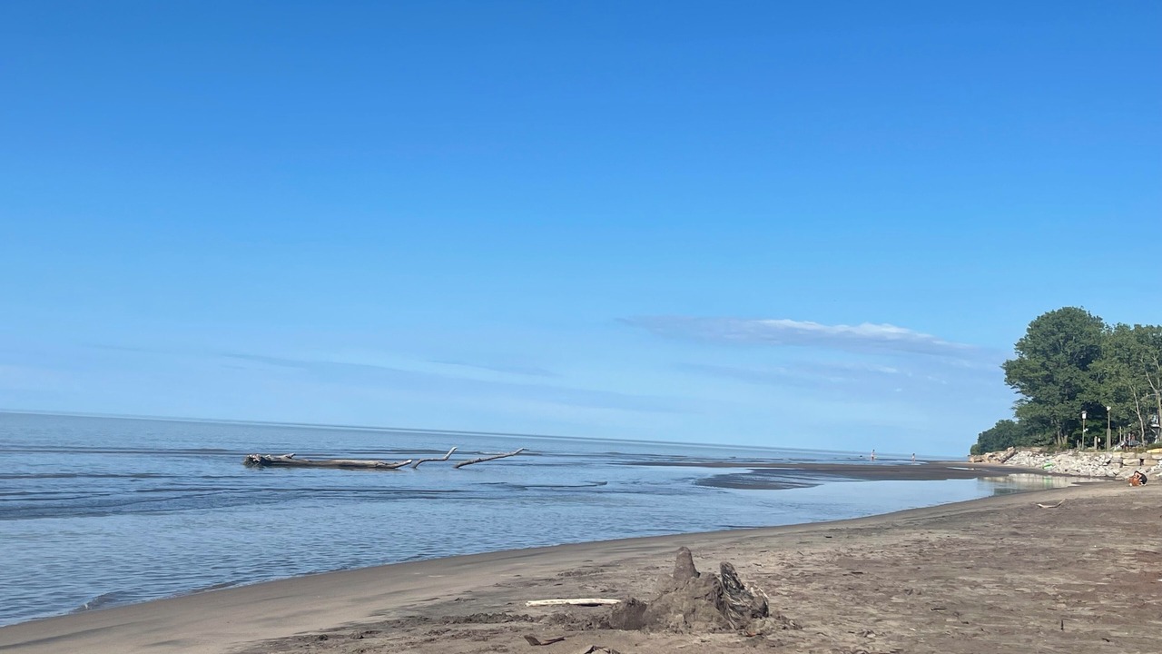 Photo of Others in Long Point