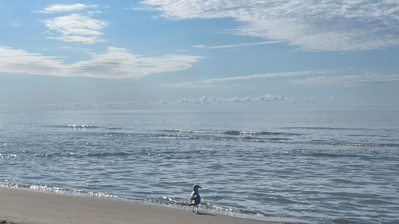 Photo of Others in Long Point
