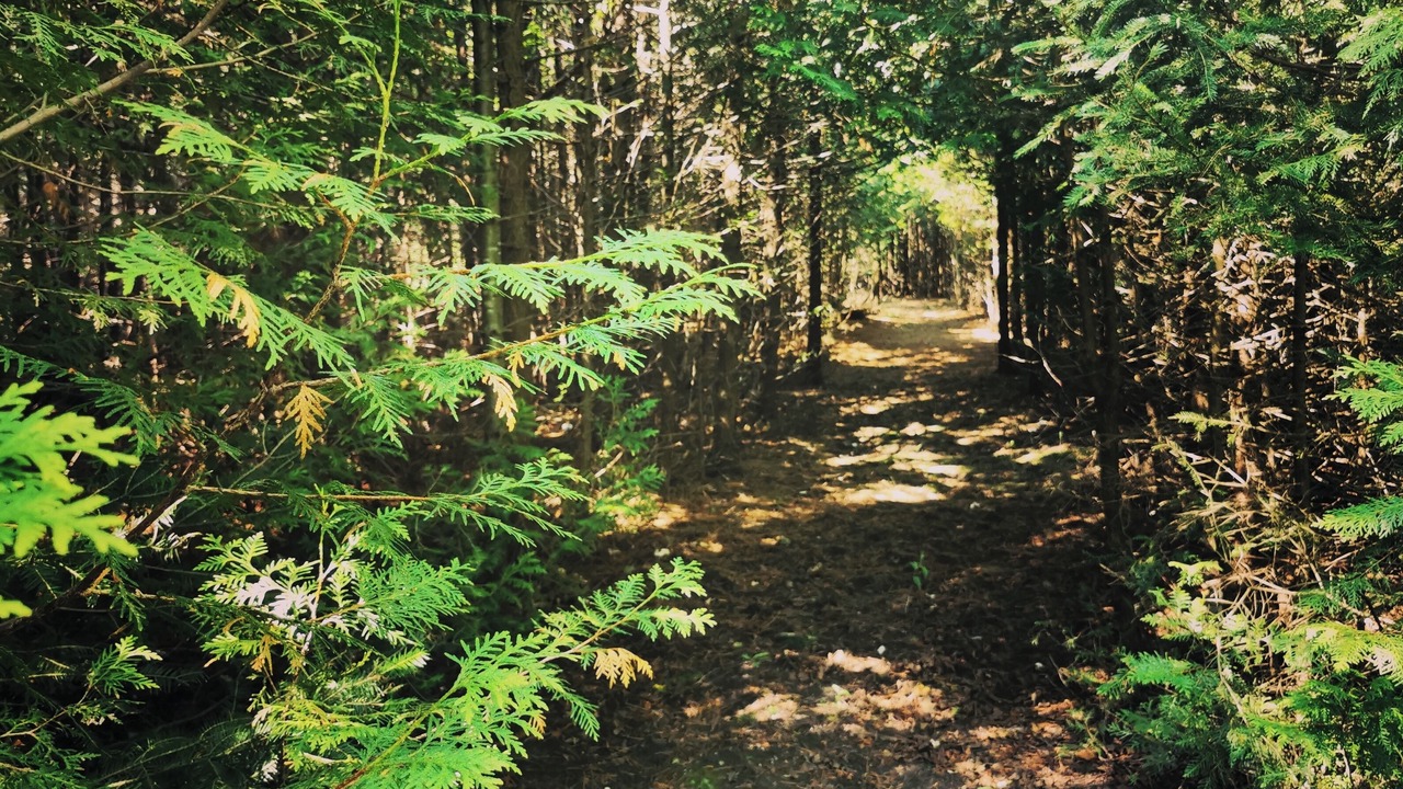 Photo of Others in Manitoulin District