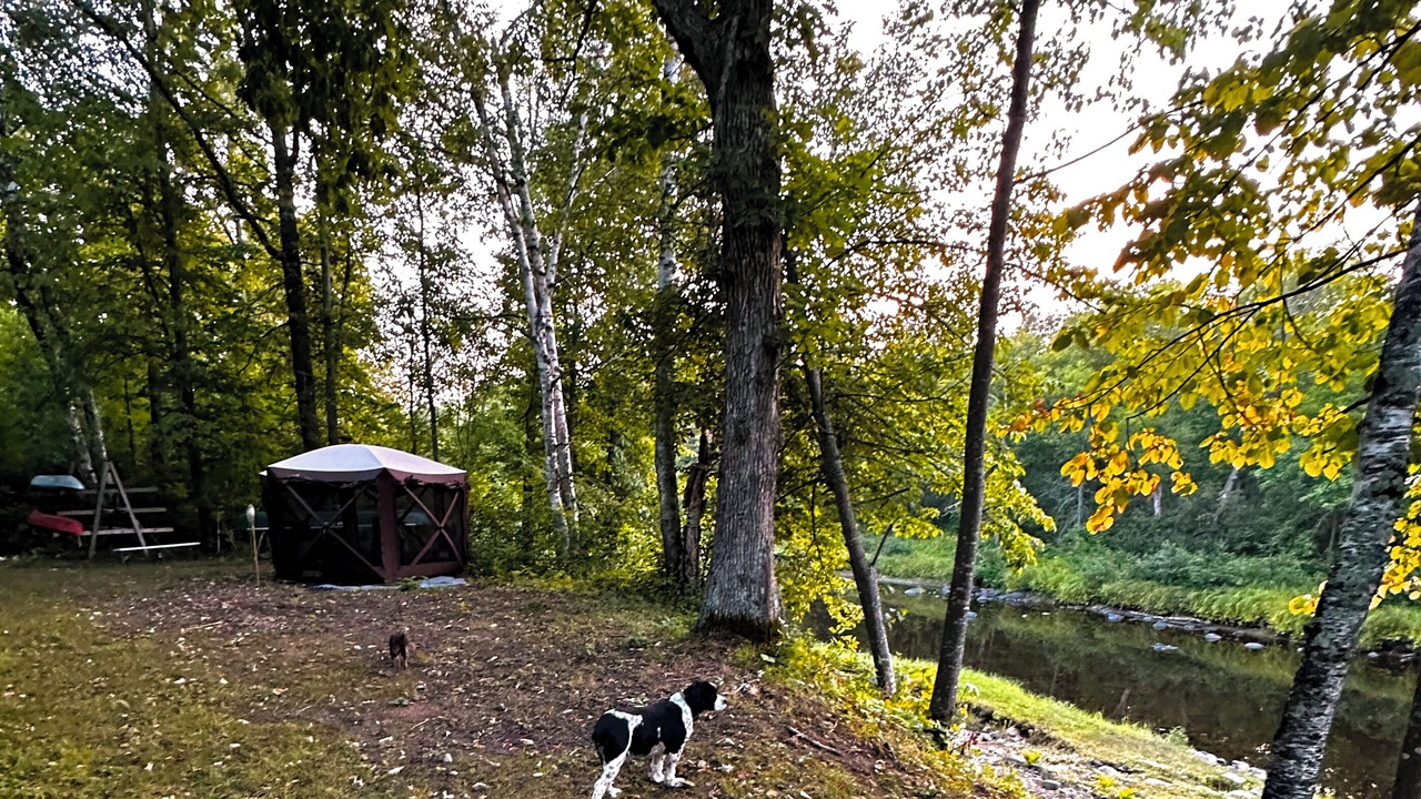 Photo of Outdoor in Sturgeon Lake