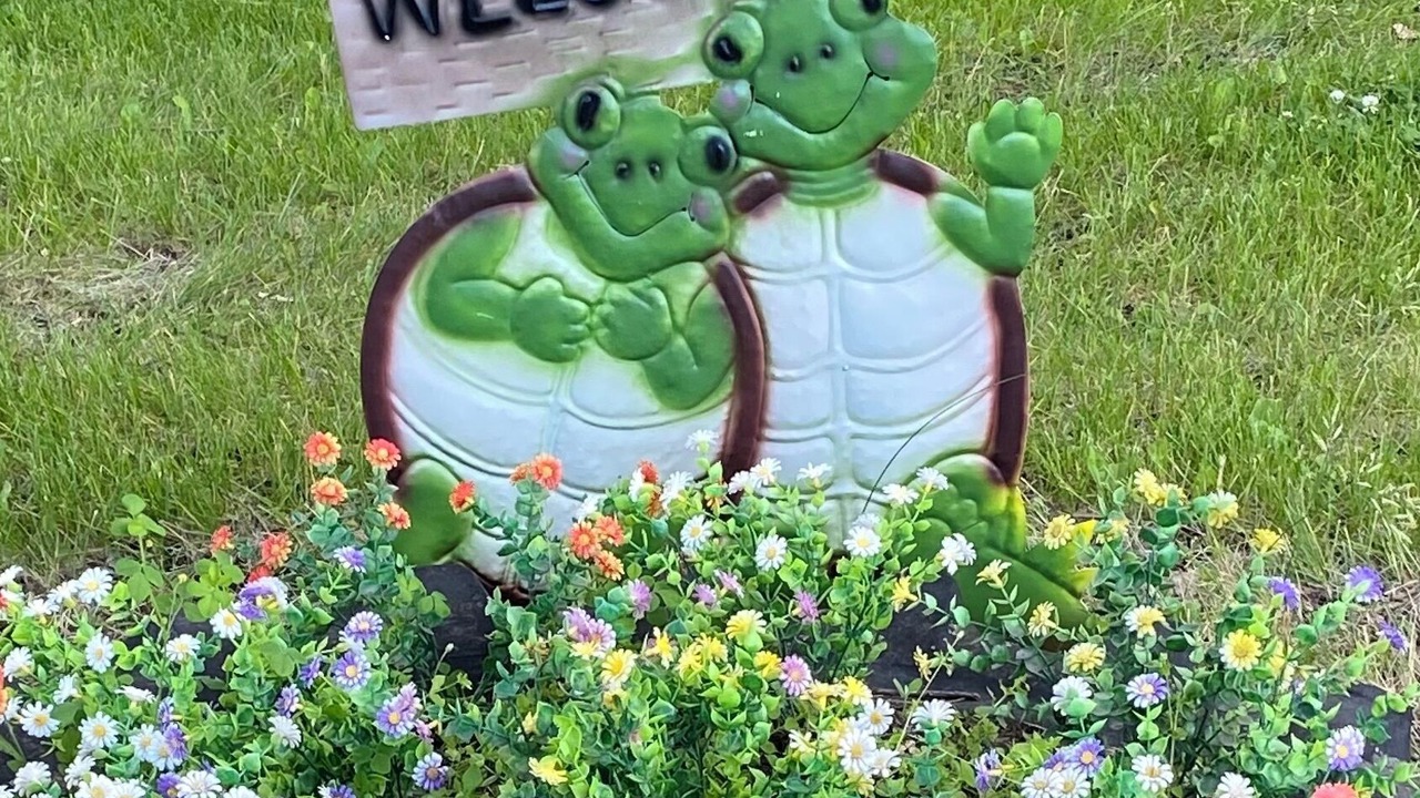 Photo of Outdoor in Pine Bend