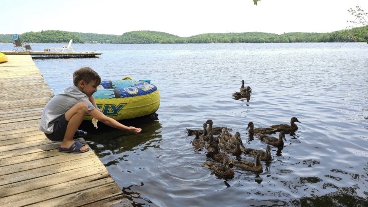 Photo of Outdoor in Utterson
