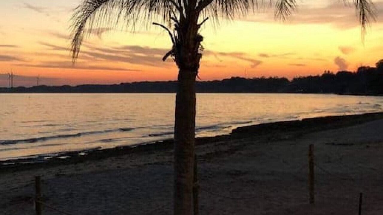 Photo of Others in Port Dover