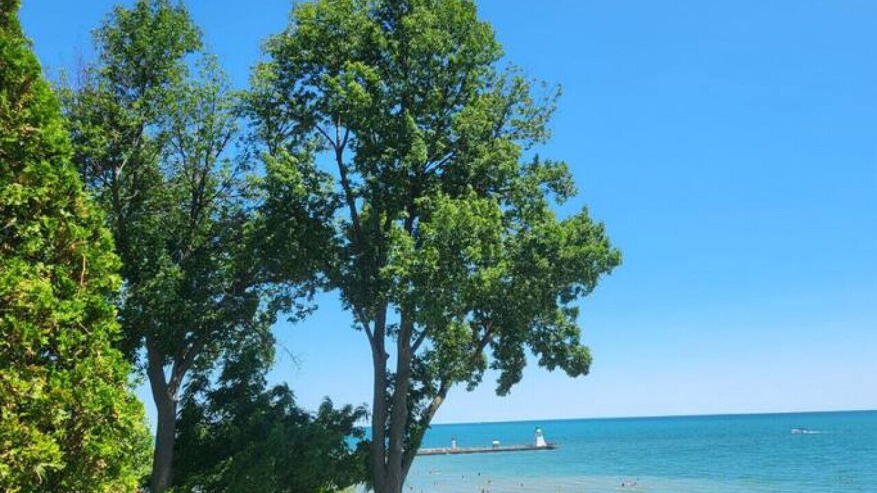 Photo of Others in Port Dover