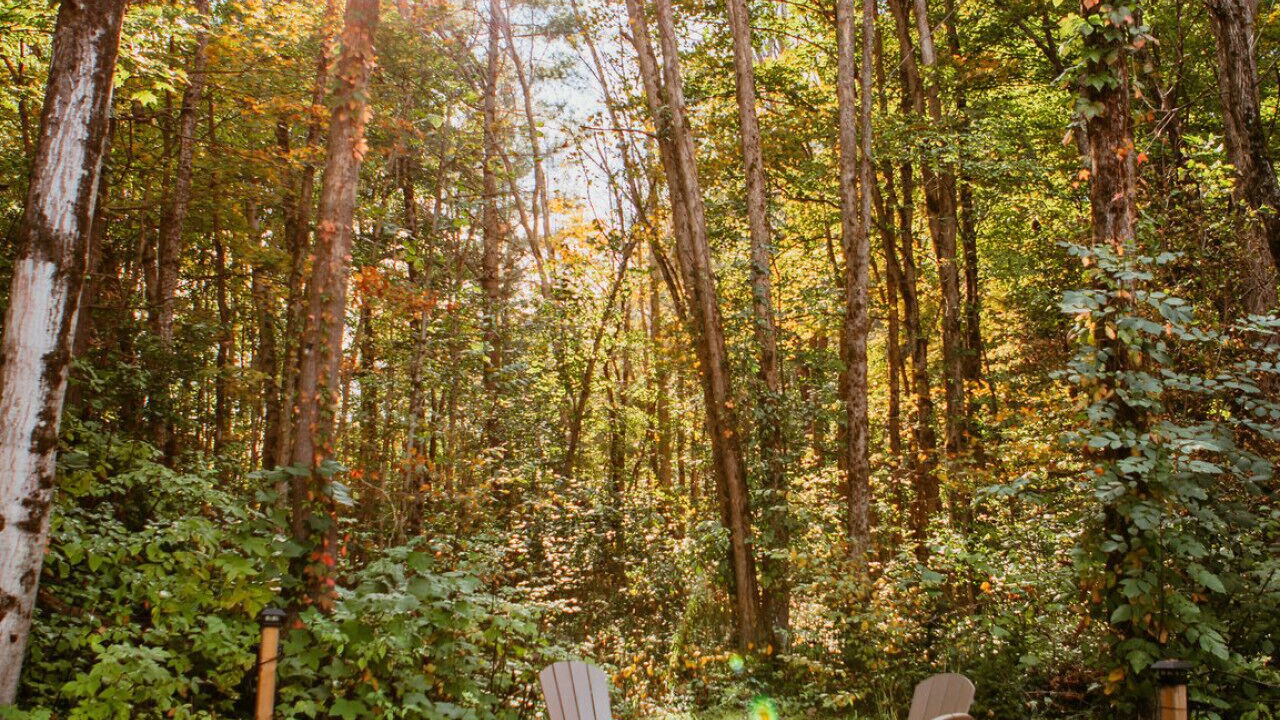 Photo of Outdoor in Norland