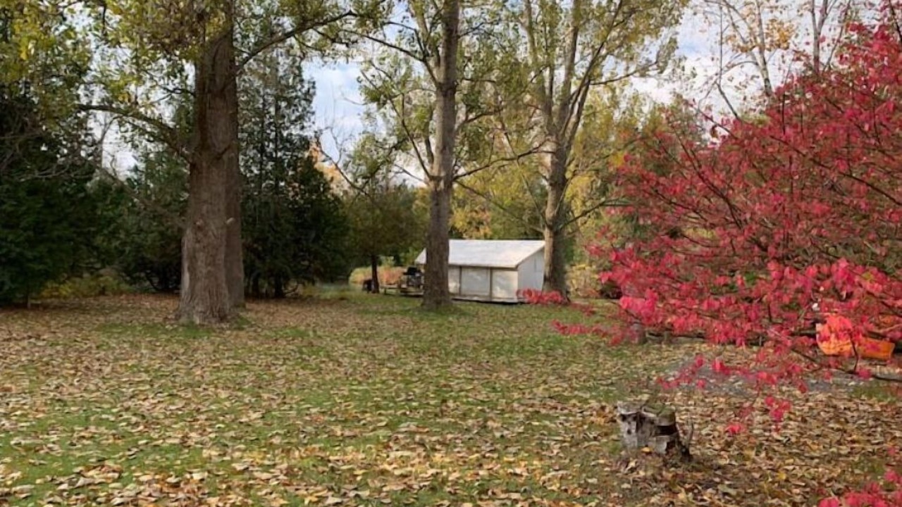 Photo of Outdoor in Brock