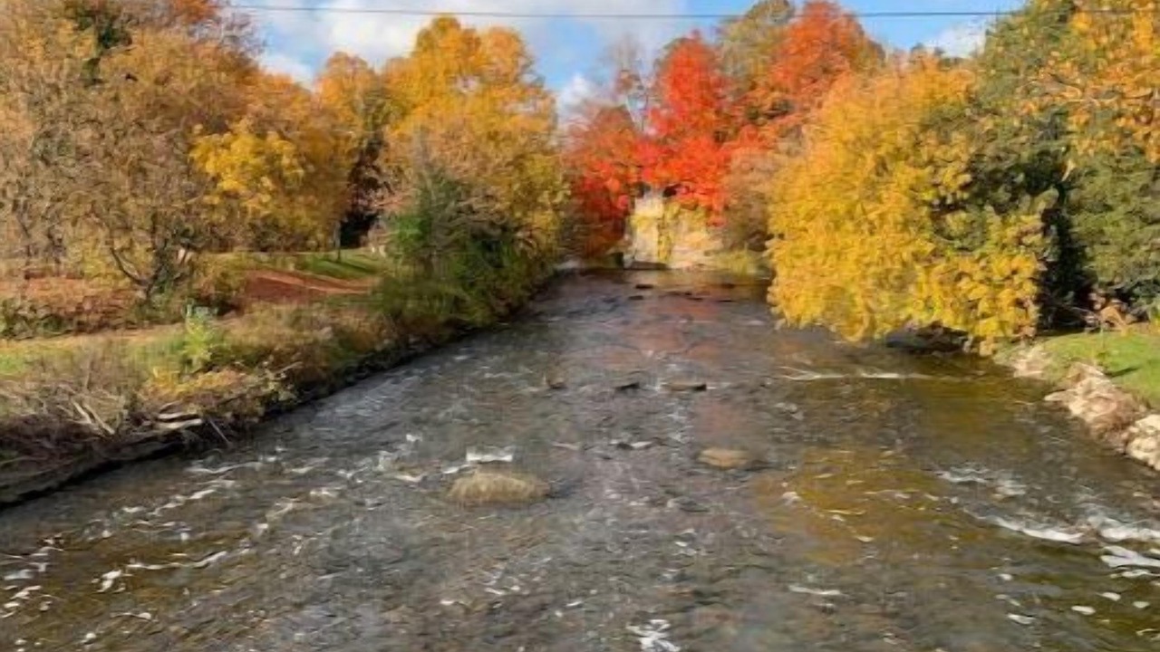 Photo of Others in Brock