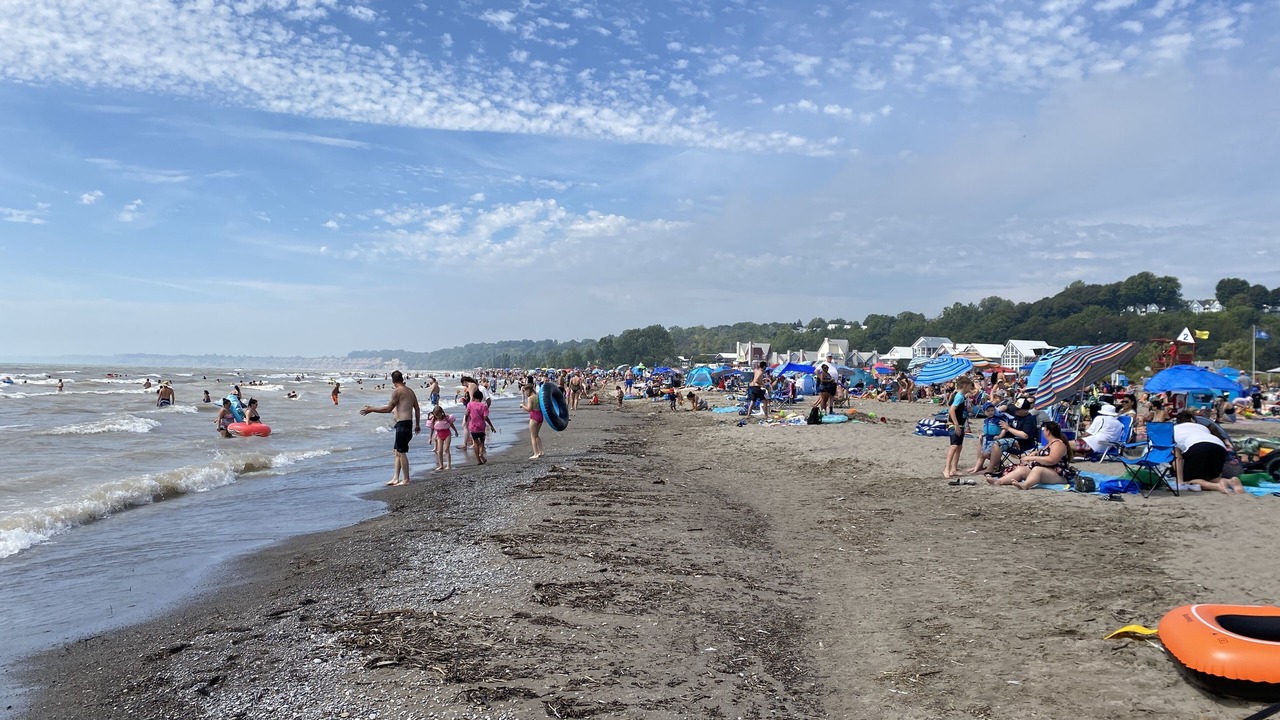 Photo of Others in Port Stanley