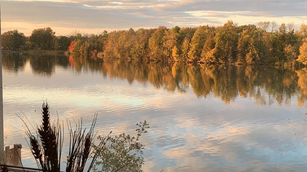 Photo of Others in Campbellford
