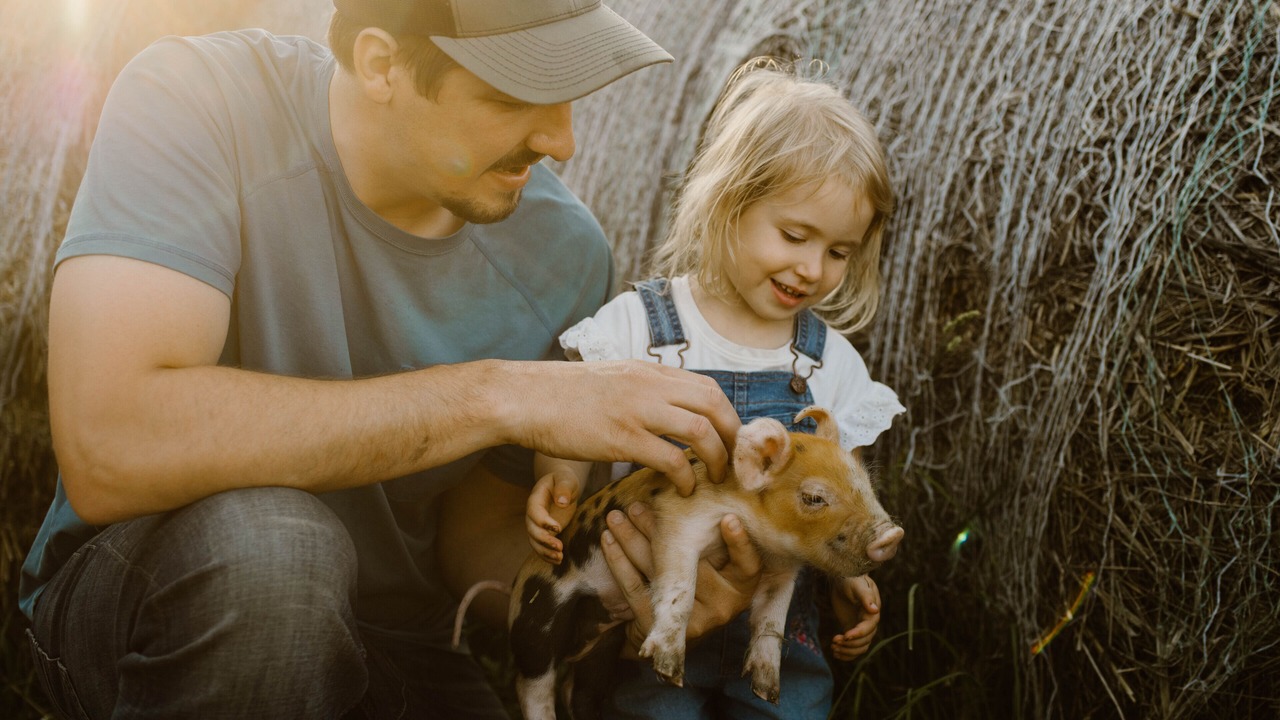 Photo of Others in Stearns County