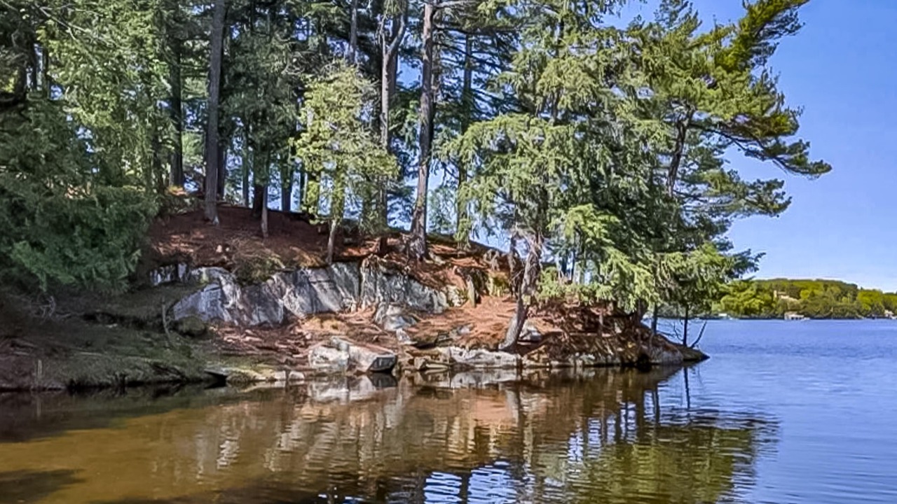 Photo of Others in Muskoka Lakes