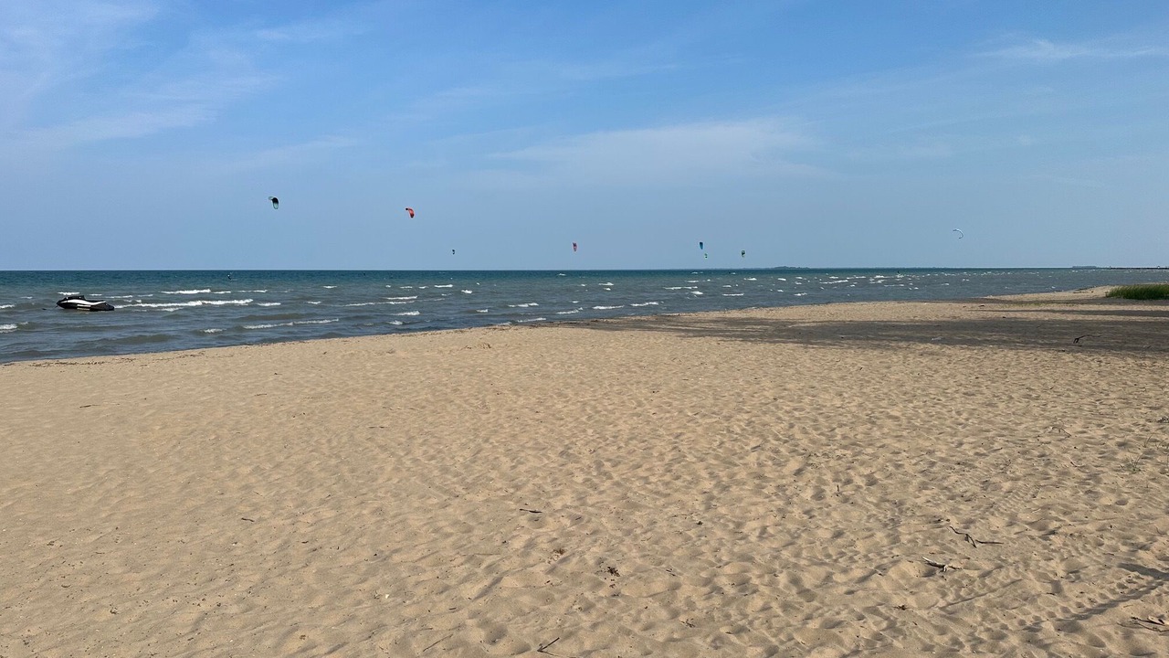 Photo of Others in Turkey Point